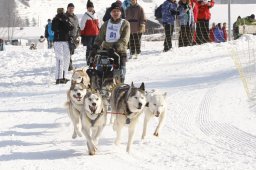 Lenk 2012 SM